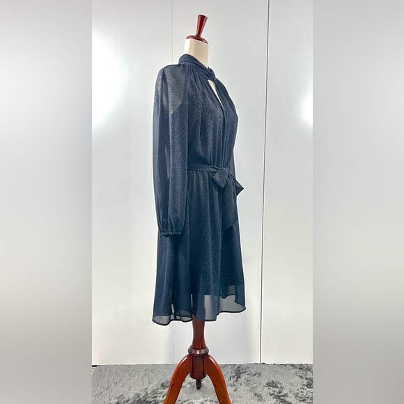 Banana Republic Navy Blue sheer dress with gold speckles - Picture 11 of 14